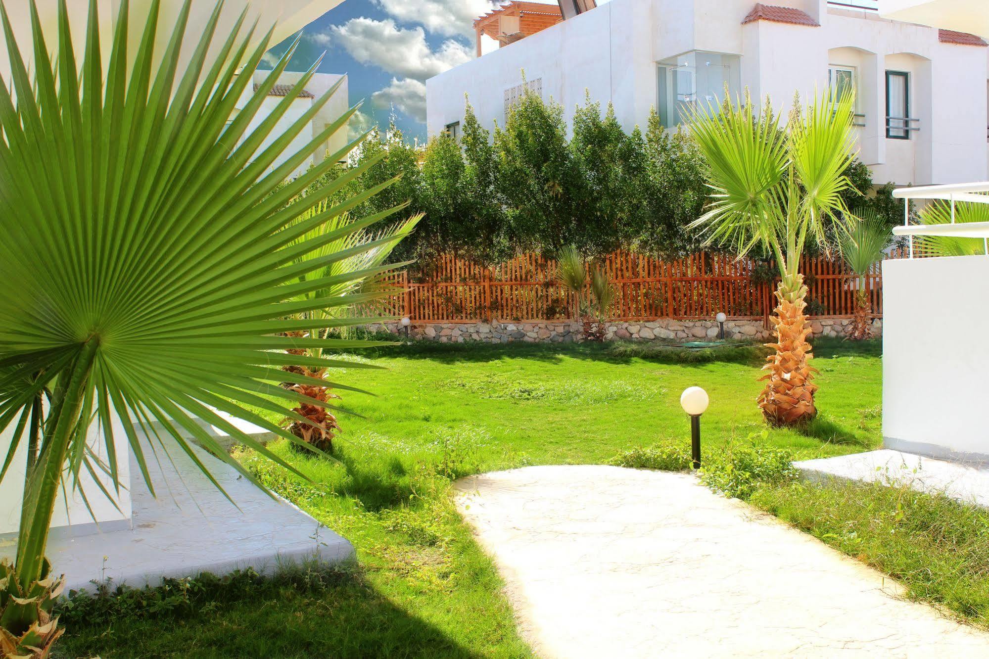Viking Club Hotel Sharm El Sheikh ภายนอก รูปภาพ